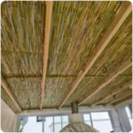 Reed-ceiling lapa